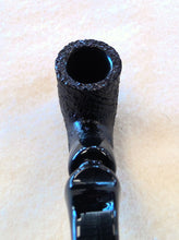 Load image into Gallery viewer, Peterson 2025 Halloween 313