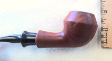 Load image into Gallery viewer, Mitchell Thomas, Smooth Rhodesian
