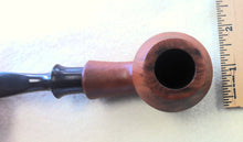 Load image into Gallery viewer, Mitchell Thomas, Smooth Rhodesian
